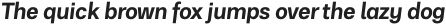 RNS Physis Bold Italic otf (700)
