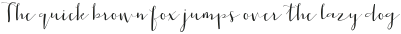 Fintype otf (400)