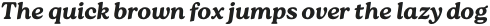 Roca One Light Italic otf (300)