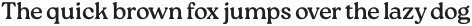 Roca Two Heavy Italic otf (800)