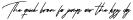 Karstarsignature otf (400)