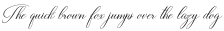 Darlian Script Regular otf (400)