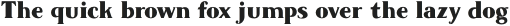 Tesson Black otf (900)