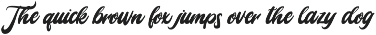Mady Risaw - Modern Script Font preview