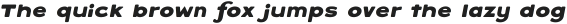 Varet Gothic Heavy Italic otf (800)