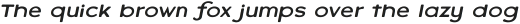 Varet Gothic Italic otf (400)