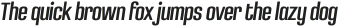 DensaBolditalic otf (700)