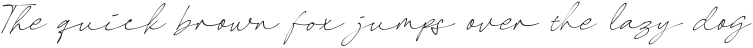 Shellana Italic 2 otf (400) Sample