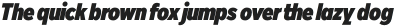 Rilo Heavy Italic otf (800)