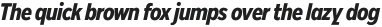 Rilo Bold Italic otf (700)