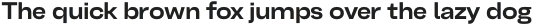 Belfast Grotesk Bold otf (700)