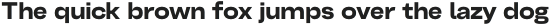 Belfast Grotesk ExtraBold otf (700)