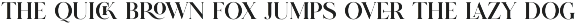 GLITTEN - All Caps Ligature Serif preview