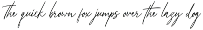 Aesthero - Stylish Signature Script preview