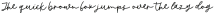 Butternut Script Regular otf (400)