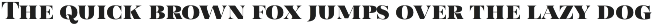 Taurus -high class serif preview