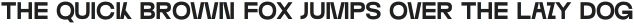 Wallnutt Corps Regular otf (400)