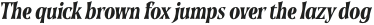 Soprani Norm Black Italic otf (900)