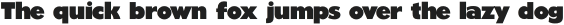 Bluto Light Italic otf (300)