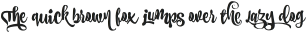 CoffeBreak Script1 otf (400)