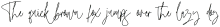 Maryline Signature Regular otf (400)