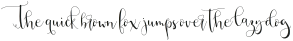 BirbyBoldAlt4 otf (700)