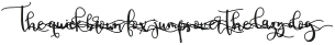 BirbyBoldAlt3 otf (700)