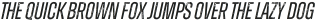 Zuume Rough Italic otf (400)