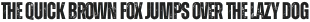 Zuume Rough Bold otf (700)