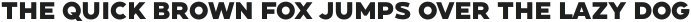 RM Connect Bold otf (700)