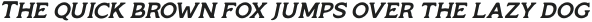 Monsier-Italic otf (400)