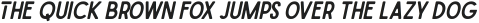 SLASH Italic otf (400)