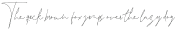 Leonetta Script otf (400)