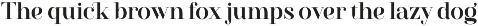 Westack - Ligature Serif Font preview