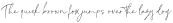Mackle Script Regular otf (400)