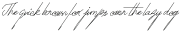 Brandoneir otf (400)