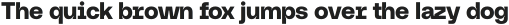 Neue Augenblick Black ttf (900)