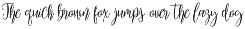 Mariposa Script Calligraphy preview