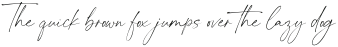 The Artisan Script otf (400)