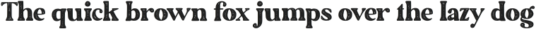 The Artisan Rough Serif otf (400)