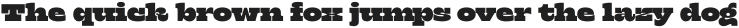 Klose Expanded otf (400)