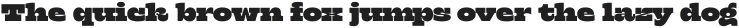 Klose Variable ttf (400)