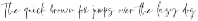 Misttoy Script font preview
