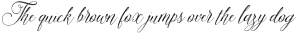 Amelia Script PP Draft Version otf (400)