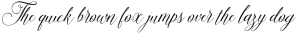 Amelia Script Fine Version otf (400)
