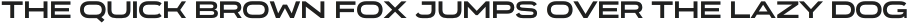 Organetto Ext Bold otf (700)