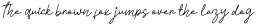 Tyloos Signature otf (400)