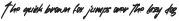 ZlatoustChaosRegular otf (400)