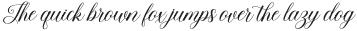 Beauty Queen Script Regular otf (400)