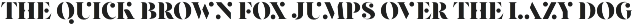 Pearlone - Stylish Stencil Serif preview